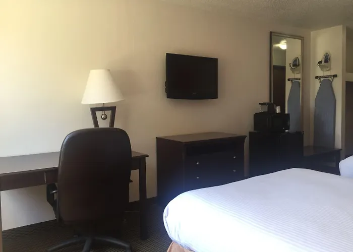 6-marion, Il 4*